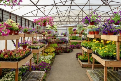 Grimsby Garden Centre Supports Mental Health and Wellbeing